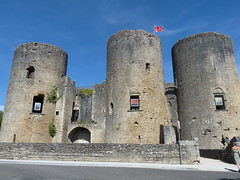 FRANCE - Châteaux d'Aquitaine