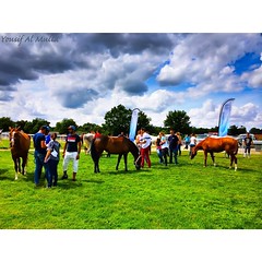 Before the race  #france #bourges #horse #endurance #race