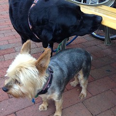 Jet & Maggie at the coffee shop.