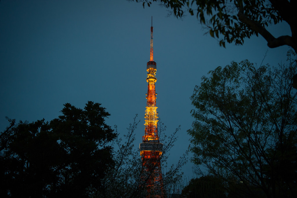 MAC_1723東京鐵塔