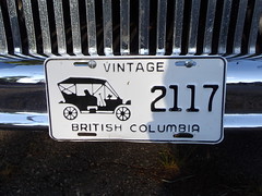 Vintage Car License Plates