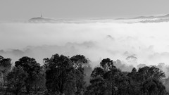 Canberra Morning Fog