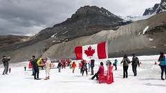 Western Canada - 7 - Icefield Parkway, Columbia Icefield, Peyto Lake 21.06.16