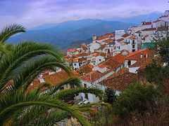 Benalauria (Málaga)