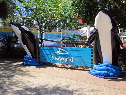 SeaWorld Orlando 2012