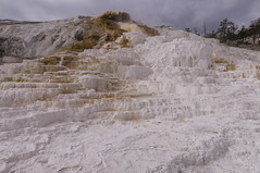 Yellowstone National Park - Mammoth Hot Springs and Lamar Valley - June 2-7, 2014
