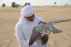 2014-UAEA-Jan-Omar-Desert