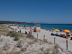 Sardegna, 2014