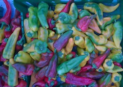 peppers at the downtown growers market