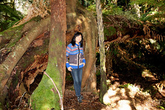 Far South East Forests of New South Wales