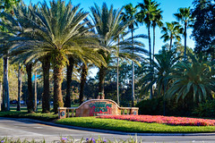 Disney's Carribean Resort