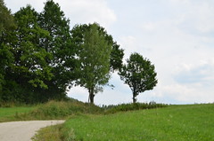 Landschaft landscape