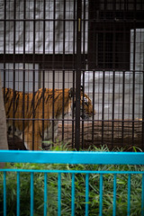 2014-9-19 Nogeyama Zoo Yokohama