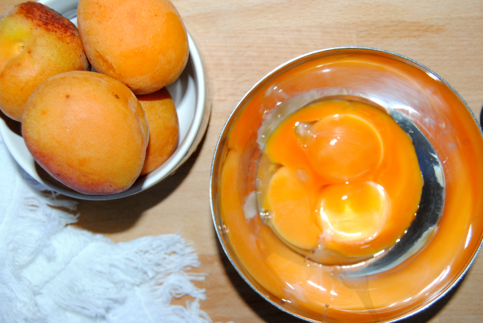 Amazing recipes - Apricot Ice Cream (4)