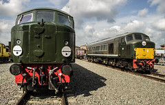 Preserved Diesel and Electric Locomotives
