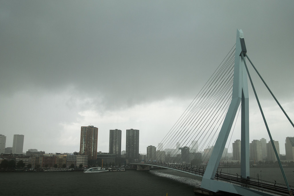 Rotterdam (37 of 44).jpg