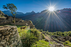 PERU: Machu Picchu + Andahuaylas + Raqchi + Juliaca + Titicacasee 2014