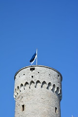 2014 Jul 06 Tallinn Kuberneri Aed