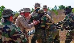 U.S. Marines and Senegalese soldiers conduct riot control training during exercise Western Accord 14