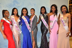 Miss Southern Africa UK 2016
