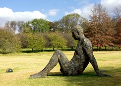 Nirox Sculpture Park 2014