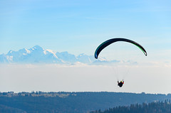Paragliders between the Mont d'Or and the Suchet, in front of the Alps