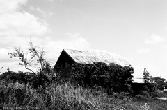 Abandoned Slaughterhouse - Ilford PANF+ 50