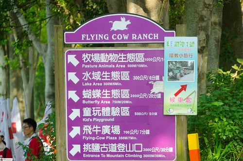 Flying Cow Ranch