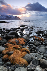 Voyage Norvège - J7 - 14/11/2012