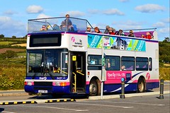 Busses/Trams/Trolleybuses