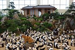 2014 Aug. Panda World Tour