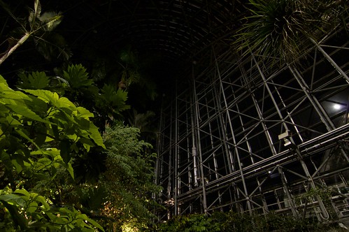 夢の島熱帯植物館 夜間開館2014