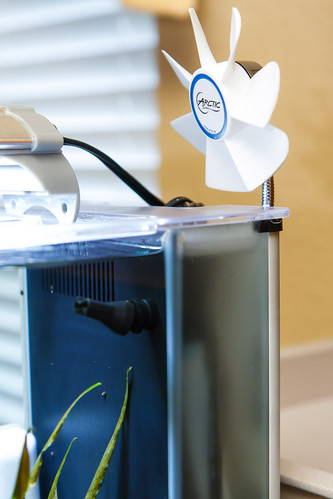 fan for evaporative cooling of fluval spec aquarium