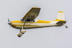 Cessna 180 Stationair