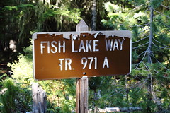 Fish, Buck Crag, American, Cougar, Cedar, and Swamp Lakes Backpack Trip