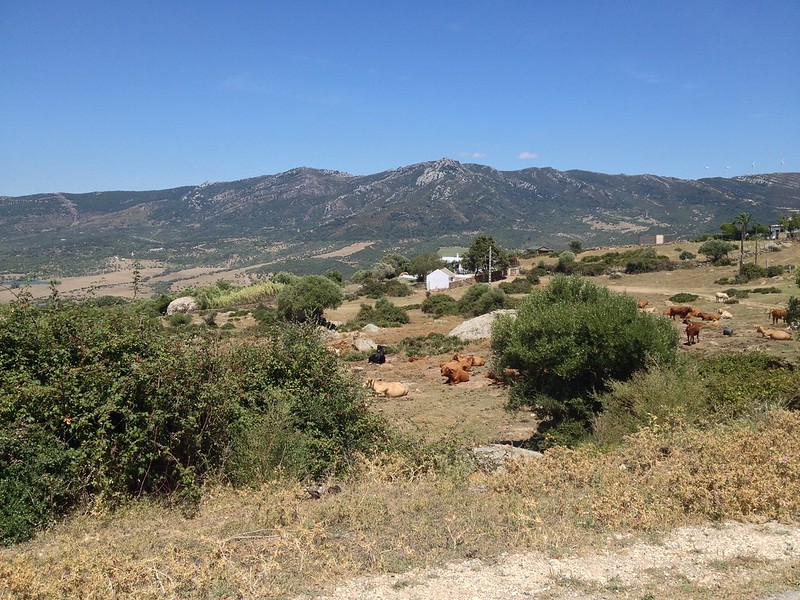 Somewhere in rural Andalucia