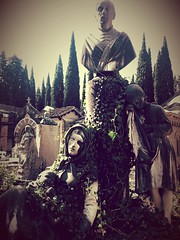 Firenze, cimitero monumentale (settembre 2014)