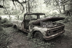 Rust in Peace Truck, Lake Quinalt South Shore