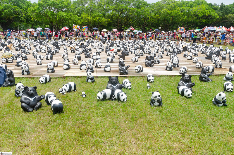 Attack Of The Pandas!