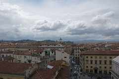Firenze, vista dal Campanile