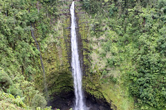 Big Island - Akaka Falls, Hawaii