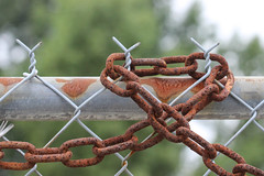 Chain on Chain Link