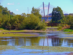 Delta Ponds, Eugene, Oregon