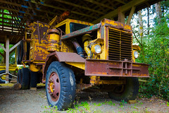 yellow logging truck
