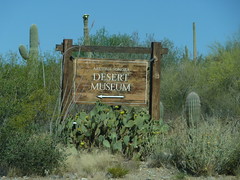 Arizona Sonora Desert Museum, AZ