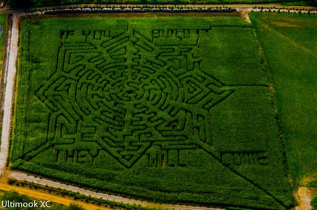 Oregon Coastal Flowers corn maze