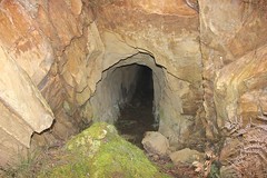 Ballarat  Mines