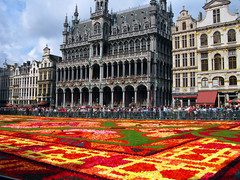2014 Brussels flower carpet