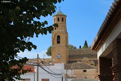 Guadahortuna (Granada)