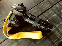 Nikon D800 with Yamasaki Congo 21cm f/4.5  (sn# 27617) 